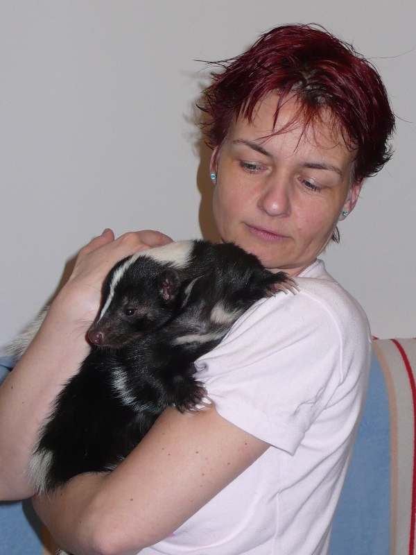jezko 023web.jpg